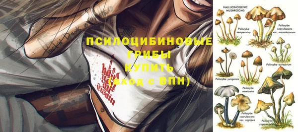 индика Краснотурьинск
