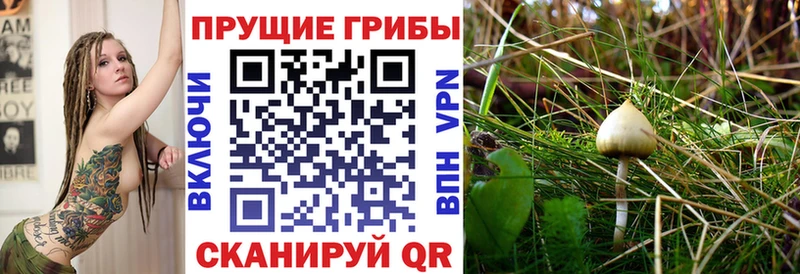 мега сайт  Ардон  Галлюциногенные грибы Magic Shrooms 
